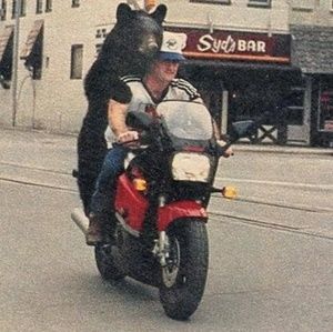 Meet your Posher, Janet